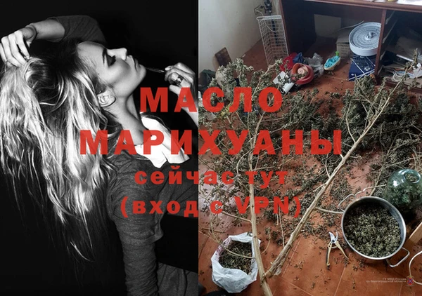сатива Аркадак