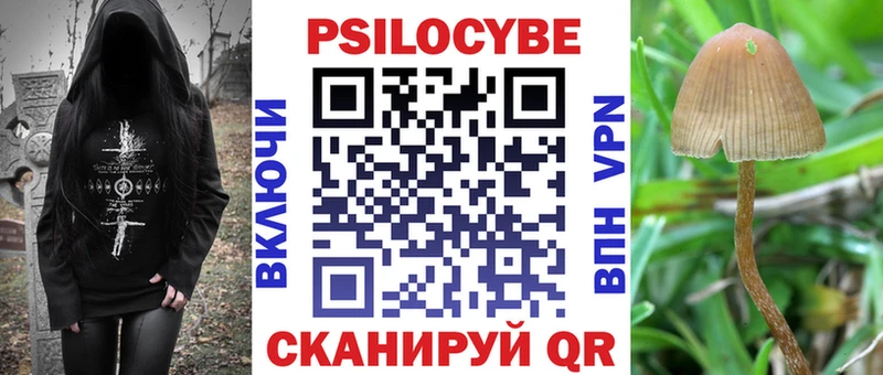 ОМГ ОМГ ССЫЛКА  Спасск-Дальний  Галлюциногенные грибы Psilocybine cubensis 