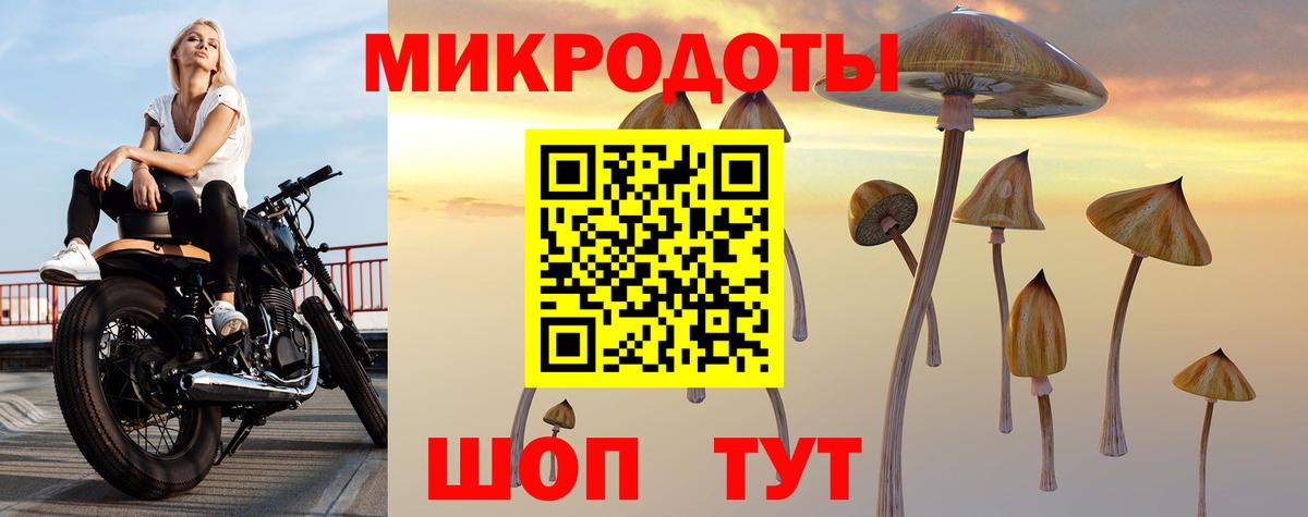 Галлюциногенные грибы мицелий  Псилоцибиновые грибы GOLDEN TEACHER  купить закладку  Вход с VPN  Спасск-Дальний 